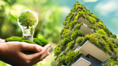 Preserving Paradise: Dubai's Commitment to Sustainable Landscaping Practices