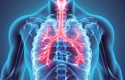 Potential Toxic Effects on the Respiratory System: Identifying the Culprits