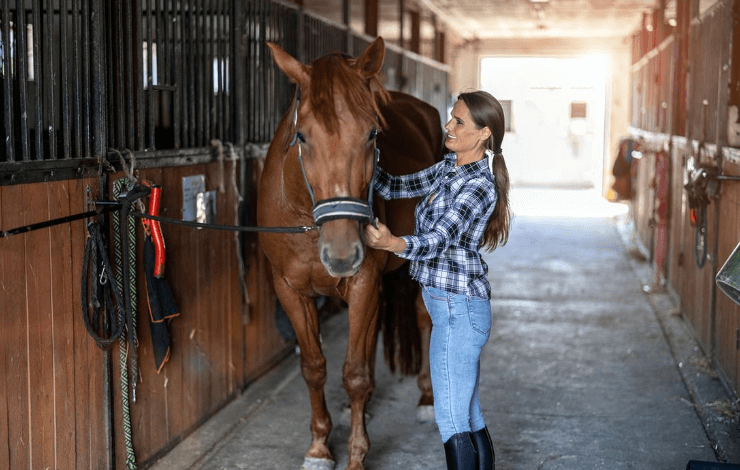 Essential Horse Care