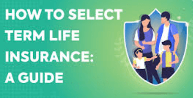 Term Life Insurance