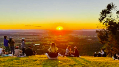 Tamborine Mountain's