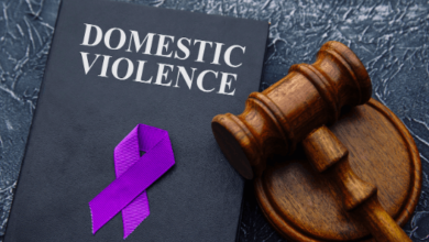 Domestic Violence Cases