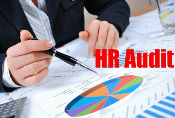 Conducting Effective HR Audits