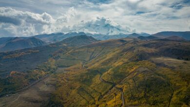 explore girodikiglia s offerings