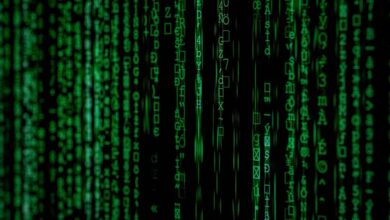 data network testing algorithm