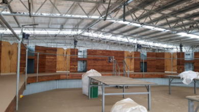 What to Look for When Buying a Shearing Shed: A Practical Guide