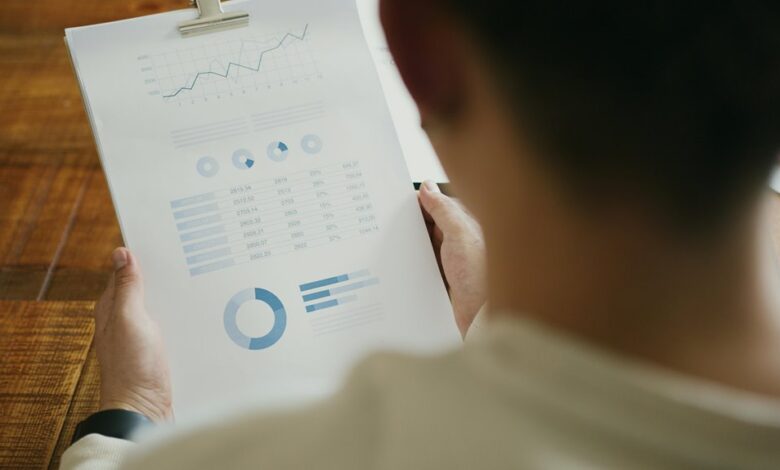 corporate review of entities