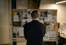 executive analysis bulletin overview