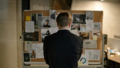 executive analysis bulletin overview