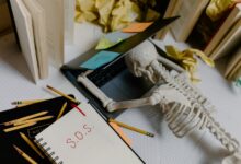 organizational insights note summary