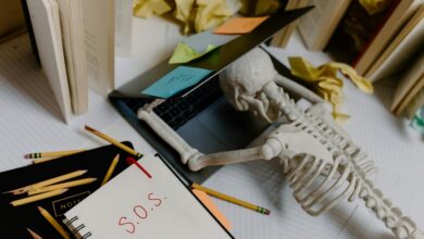 organizational insights note summary