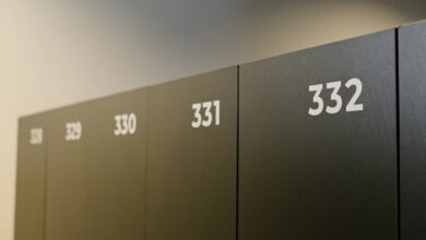 number registry profile exploration
