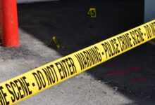 review registry investigation entries
