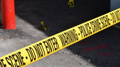 review registry investigation entries