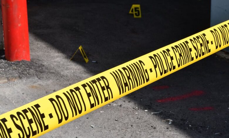 review registry investigation entries