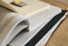 study registry number references